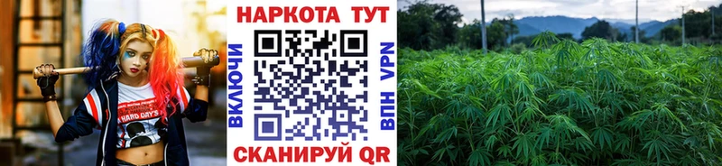 Наркотические вещества Шадринск NBOMe  Мефедрон  А ПВП 