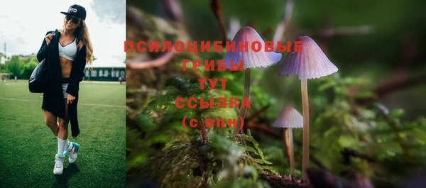бошки Алзамай