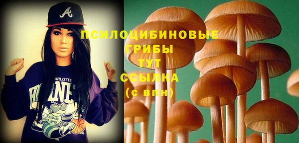 дмт Алексеевка