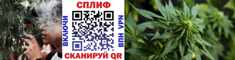 Канабис конопля цены Шадринск